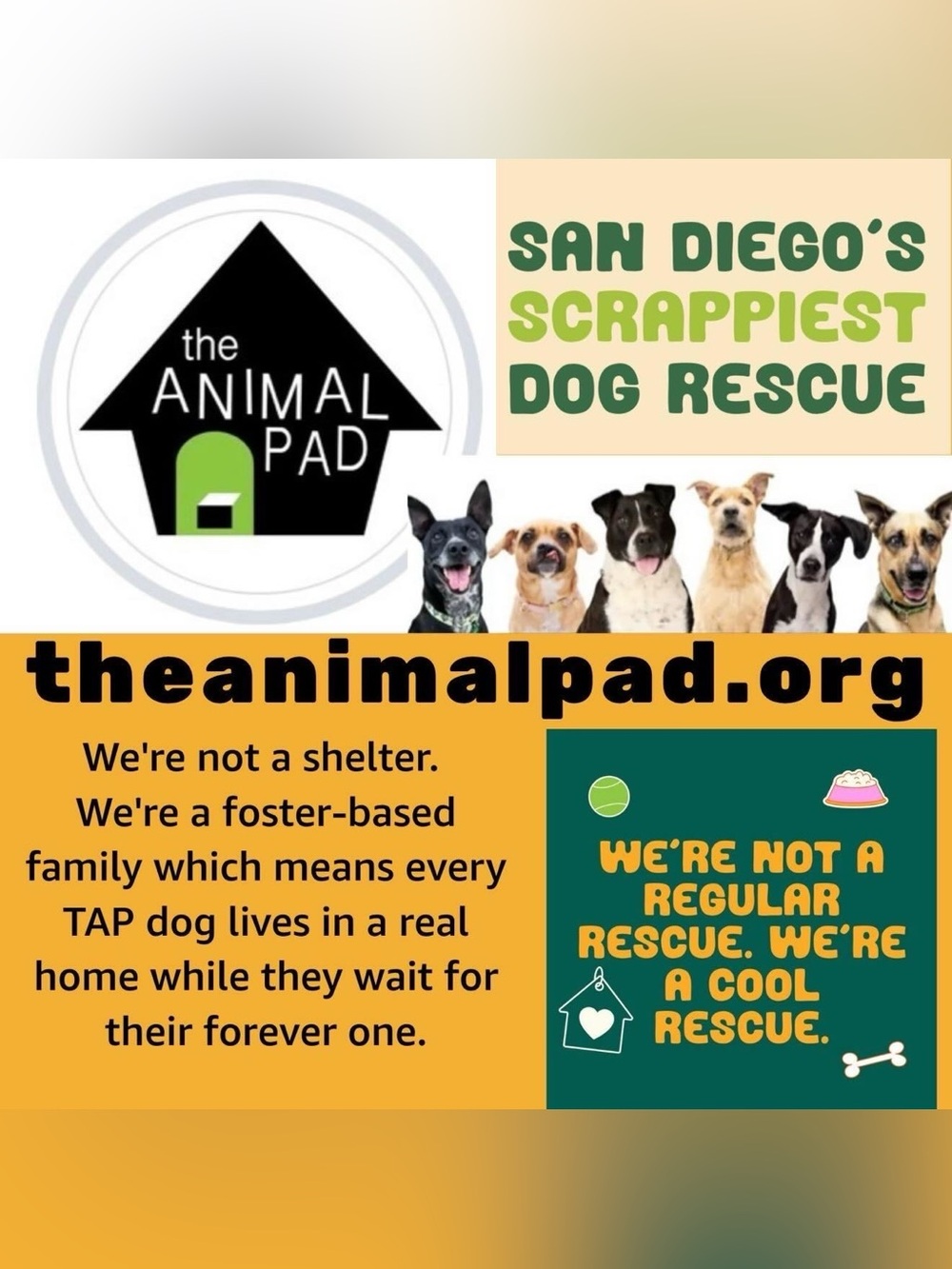 Buy Now The Animal Pad